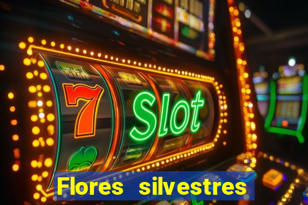 Flores silvestres brasileiras 25